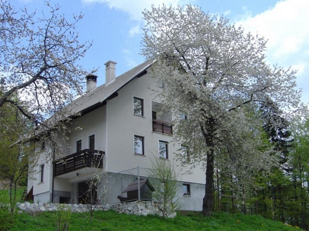 Appartement Pri Marjetki *