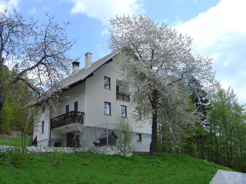 Pri Marjetki